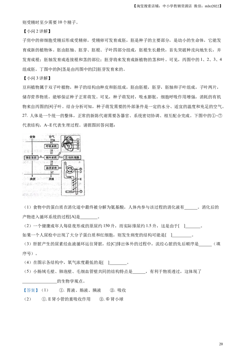 精品解析：2023年山东省滨州市中考生物真题（解析版）_中考真题_8.生物中考真题2015-2024年_2023年全国中考生物7.20_精品解析：2023年山东省滨州市中考生物真题