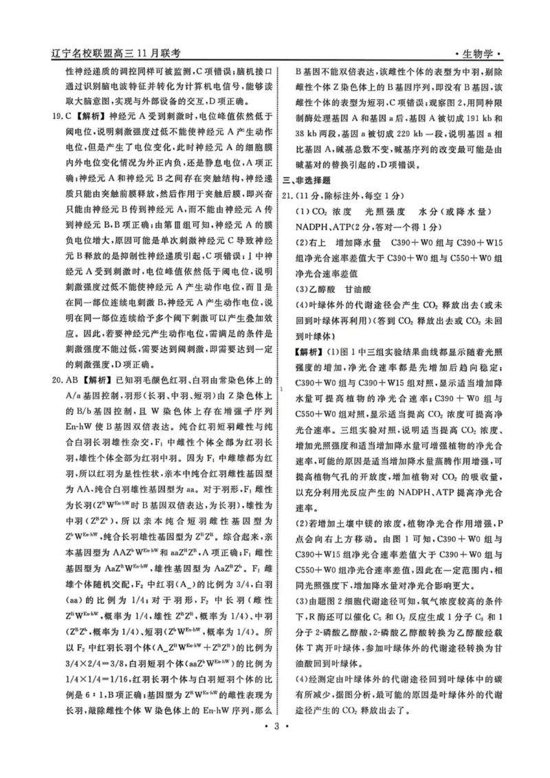 辽宁省名校联盟2025-2026学年高三上学期11月期中生物答案_251110辽宁省名校联盟2025-2026学年高三上学期11月期中联合考试