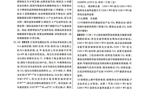辽宁省名校联盟2025-2026学年高三上学期11月期中生物答案_251110辽宁省名校联盟2025-2026学年高三上学期11月期中联合考试