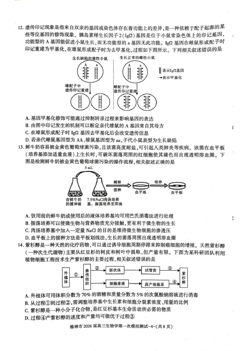 陕西省榆林市2026届高三上学期第一次模拟测试生物试卷（含解析）_251119陕西省榆林市2026届高三上学期第一次模拟测试（全科）