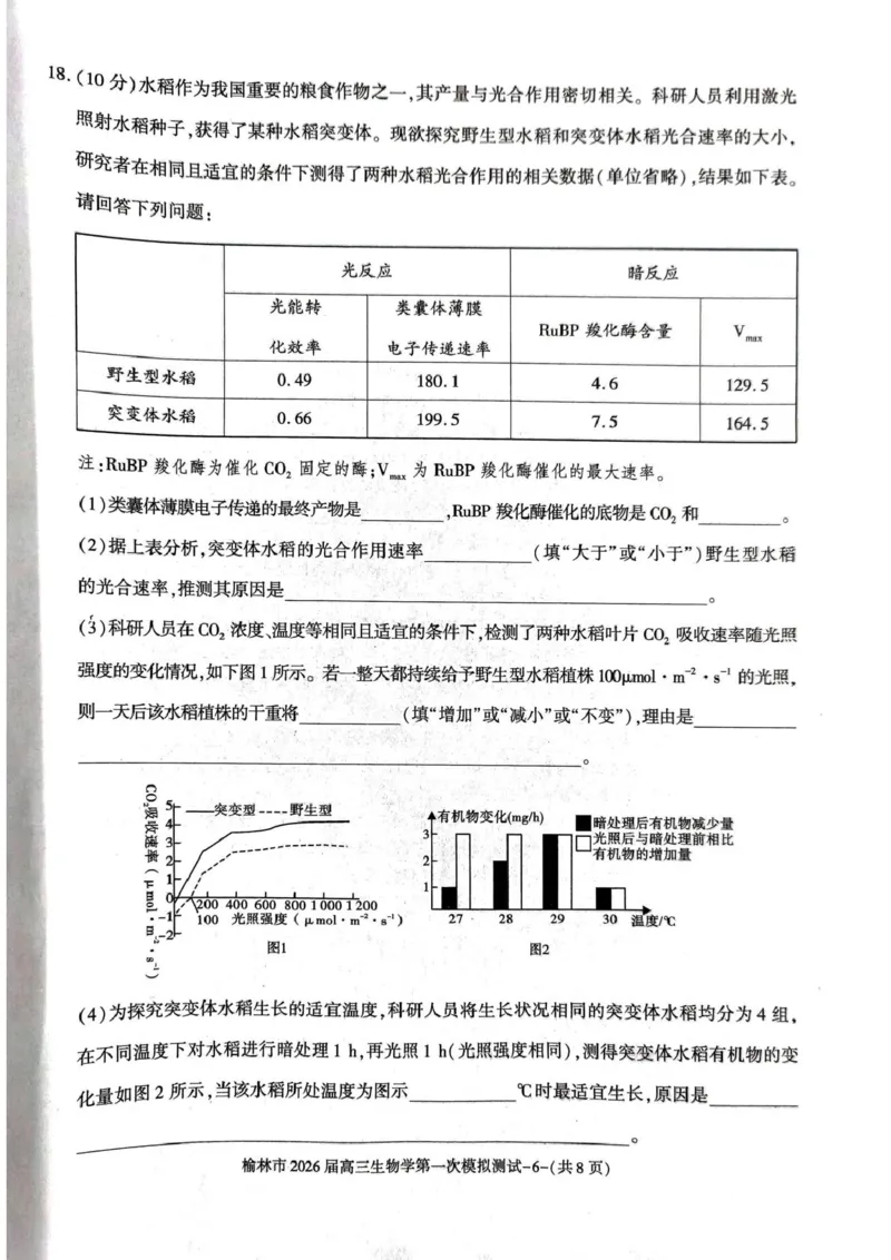 陕西省榆林市2026届高三上学期第一次模拟测试生物试卷（含解析）_251119陕西省榆林市2026届高三上学期第一次模拟测试（全科）