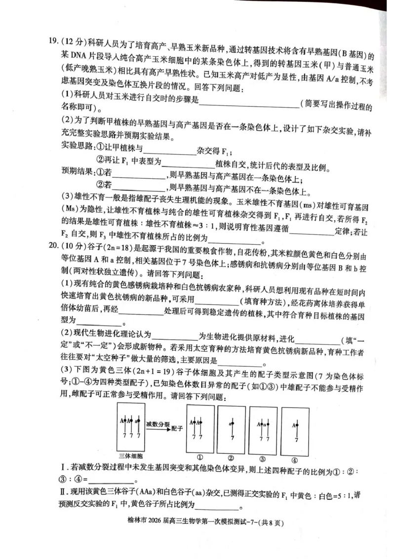 陕西省榆林市2026届高三上学期第一次模拟测试生物试卷（含解析）_251119陕西省榆林市2026届高三上学期第一次模拟测试（全科）