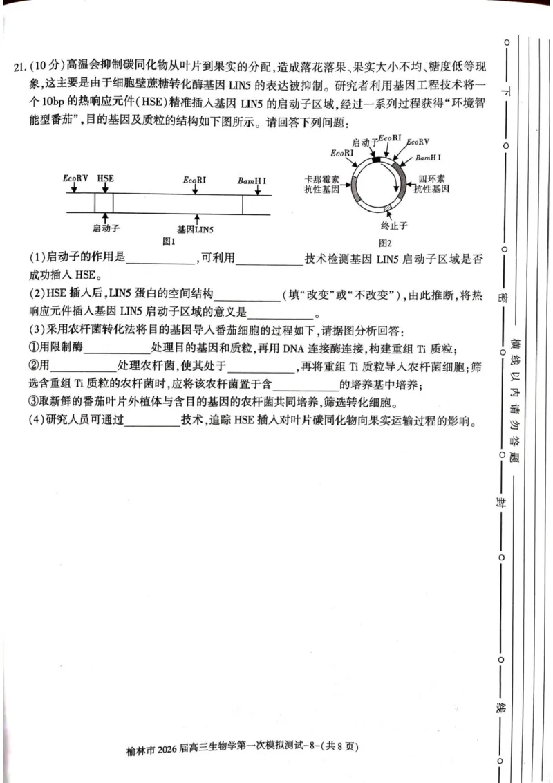 陕西省榆林市2026届高三上学期第一次模拟测试生物试卷（含解析）_251119陕西省榆林市2026届高三上学期第一次模拟测试（全科）