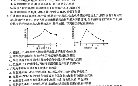 陕西省榆林市2026届高三上学期第一次模拟测试生物试卷（含解析）_251119陕西省榆林市2026届高三上学期第一次模拟测试（全科）