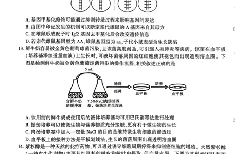 陕西省榆林市2026届高三上学期第一次模拟测试生物试卷（含解析）_251119陕西省榆林市2026届高三上学期第一次模拟测试（全科）