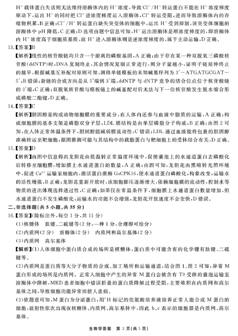 （一六八一模）生物学参考答案提示及评分细则&mdash;副本_2025年12月_2512092026届安徽合肥一六八中学高三上学期一模（全科）_2026届安徽合肥一六八中学高三上学期一模生物试题+答案