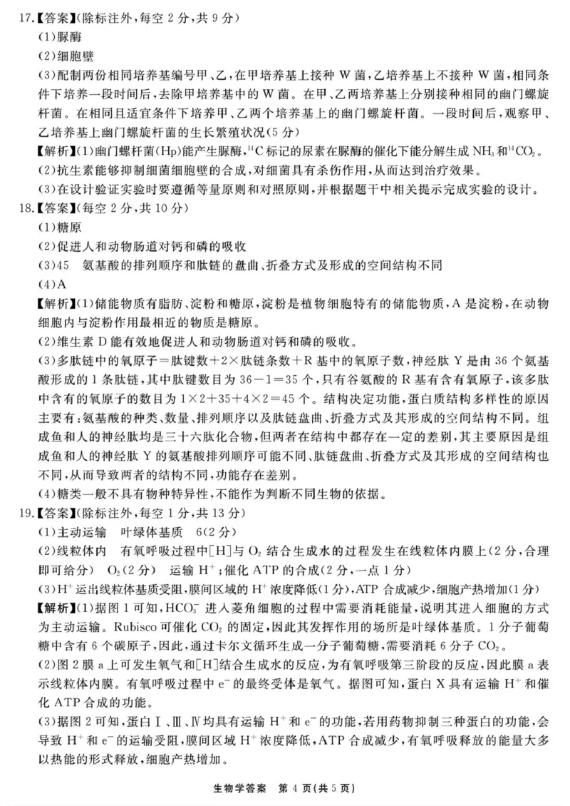 （一六八一模）生物学参考答案提示及评分细则&mdash;副本_2025年12月_2512092026届安徽合肥一六八中学高三上学期一模（全科）_2026届安徽合肥一六八中学高三上学期一模生物试题+答案