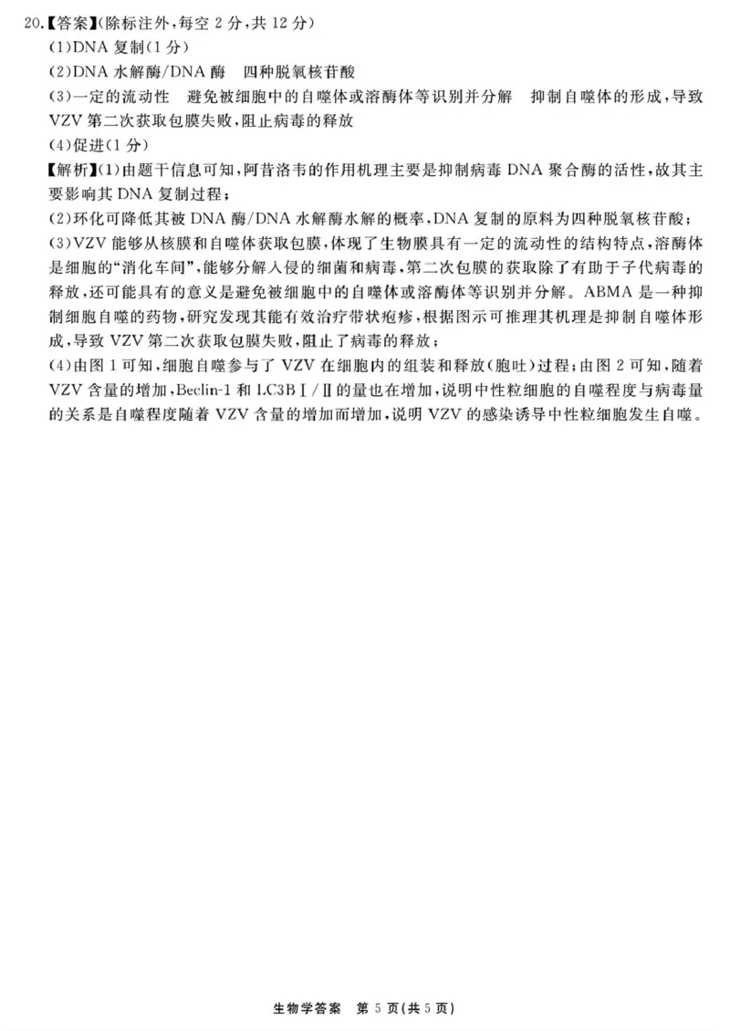 （一六八一模）生物学参考答案提示及评分细则&mdash;副本_2025年12月_2512092026届安徽合肥一六八中学高三上学期一模（全科）_2026届安徽合肥一六八中学高三上学期一模生物试题+答案