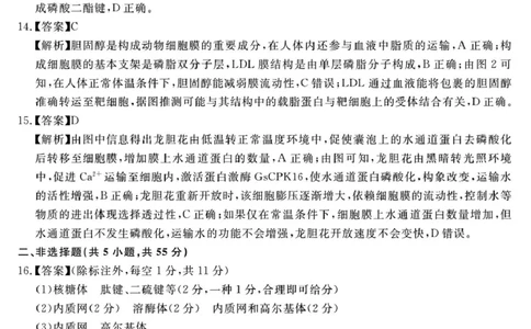 （一六八一模）生物学参考答案提示及评分细则&mdash;副本_2025年12月_2512092026届安徽合肥一六八中学高三上学期一模（全科）_2026届安徽合肥一六八中学高三上学期一模生物试题+答案
