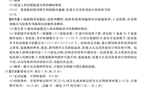 （一六八一模）生物学参考答案提示及评分细则&mdash;副本_2025年12月_2512092026届安徽合肥一六八中学高三上学期一模（全科）_2026届安徽合肥一六八中学高三上学期一模生物试题+答案