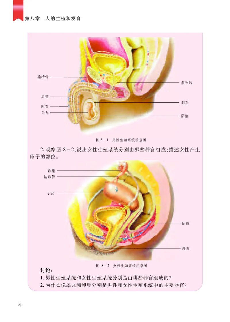 苏教版7年级生物下册高清教材_4-教培资料-26年最新资料-同步更新_初中高中教资_03科三专项（进去保存报考的学科即可）_02科三专项（笔记真题思维导图教学设计版本二）