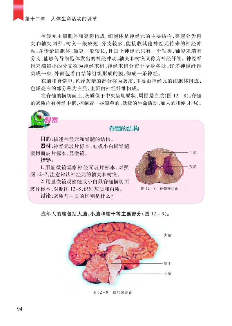 苏教版7年级生物下册高清教材_4-教培资料-26年最新资料-同步更新_初中高中教资_03科三专项（进去保存报考的学科即可）_02科三专项（笔记真题思维导图教学设计版本二）