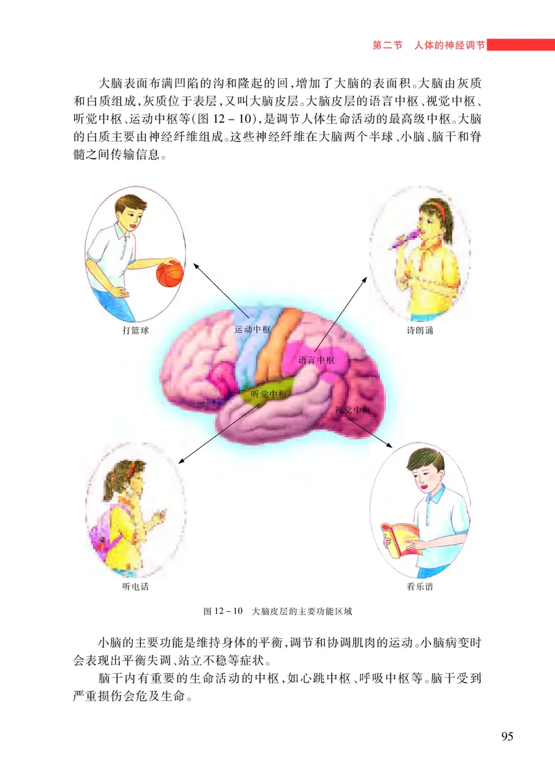 苏教版7年级生物下册高清教材_4-教培资料-26年最新资料-同步更新_初中高中教资_03科三专项（进去保存报考的学科即可）_02科三专项（笔记真题思维导图教学设计版本二）