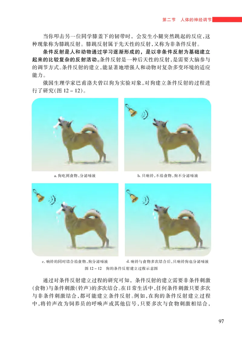 苏教版7年级生物下册高清教材_4-教培资料-26年最新资料-同步更新_初中高中教资_03科三专项（进去保存报考的学科即可）_02科三专项（笔记真题思维导图教学设计版本二）