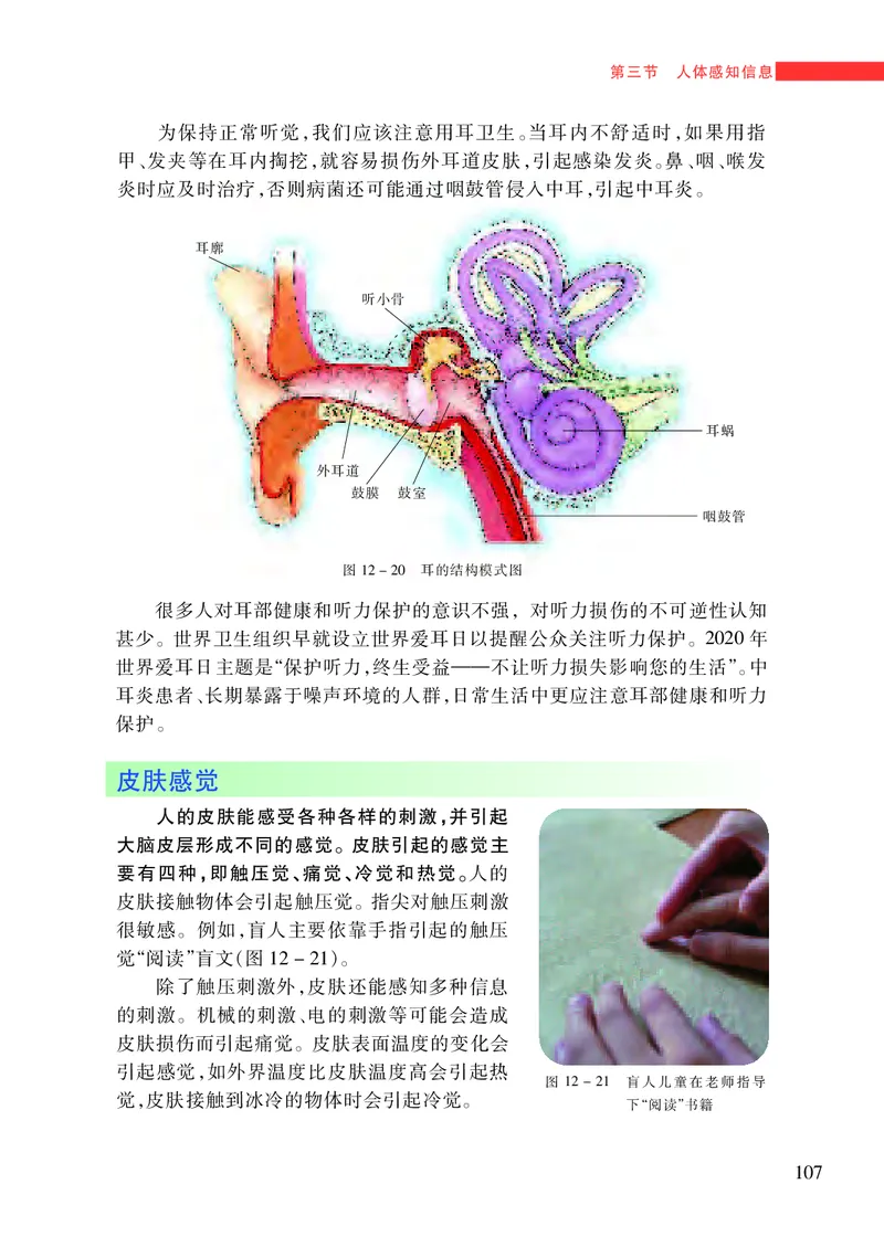 苏教版7年级生物下册高清教材_4-教培资料-26年最新资料-同步更新_初中高中教资_03科三专项（进去保存报考的学科即可）_02科三专项（笔记真题思维导图教学设计版本二）