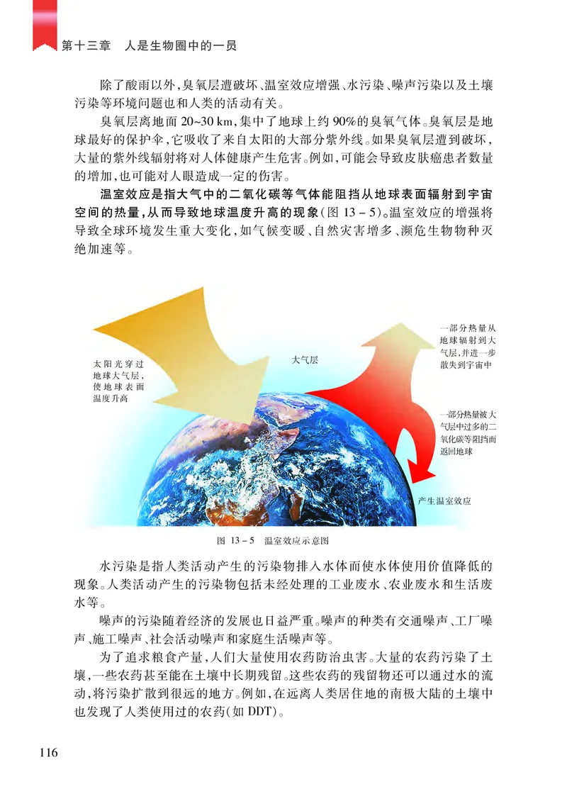 苏教版7年级生物下册高清教材_4-教培资料-26年最新资料-同步更新_初中高中教资_03科三专项（进去保存报考的学科即可）_02科三专项（笔记真题思维导图教学设计版本二）