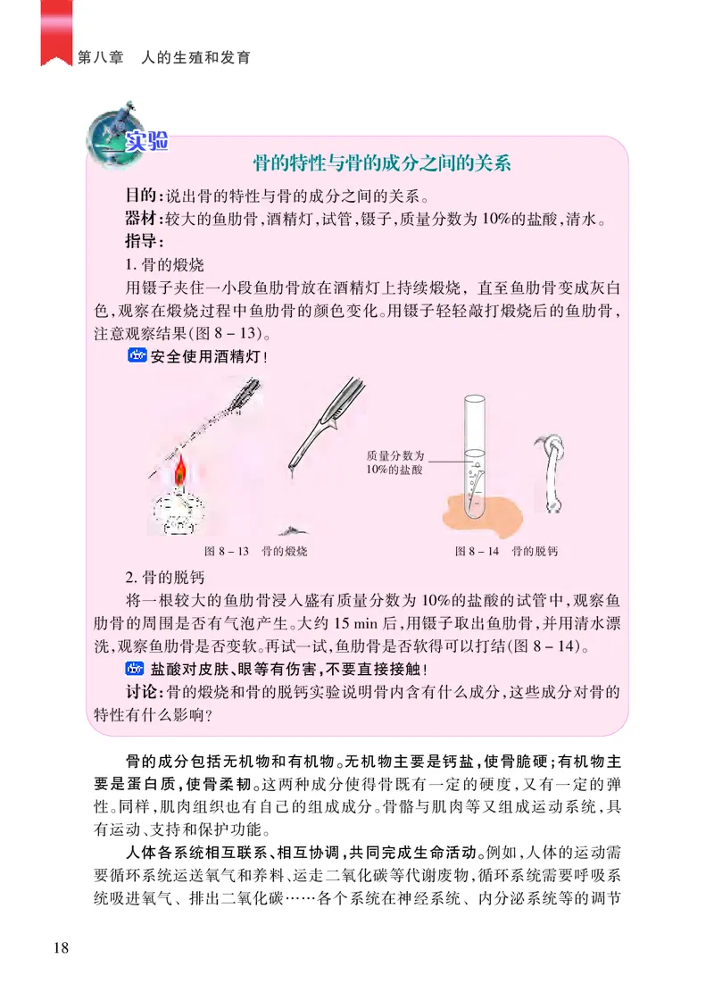 苏教版7年级生物下册高清教材_4-教培资料-26年最新资料-同步更新_初中高中教资_03科三专项（进去保存报考的学科即可）_02科三专项（笔记真题思维导图教学设计版本二）