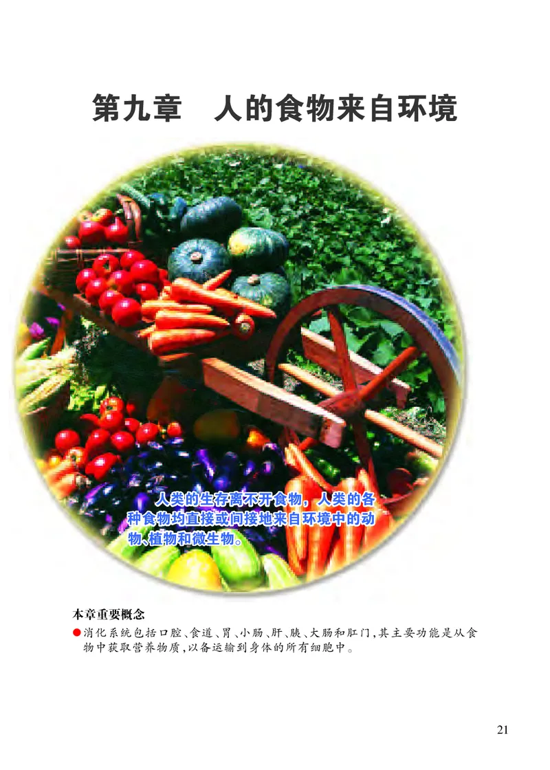 苏教版7年级生物下册高清教材_4-教培资料-26年最新资料-同步更新_初中高中教资_03科三专项（进去保存报考的学科即可）_02科三专项（笔记真题思维导图教学设计版本二）