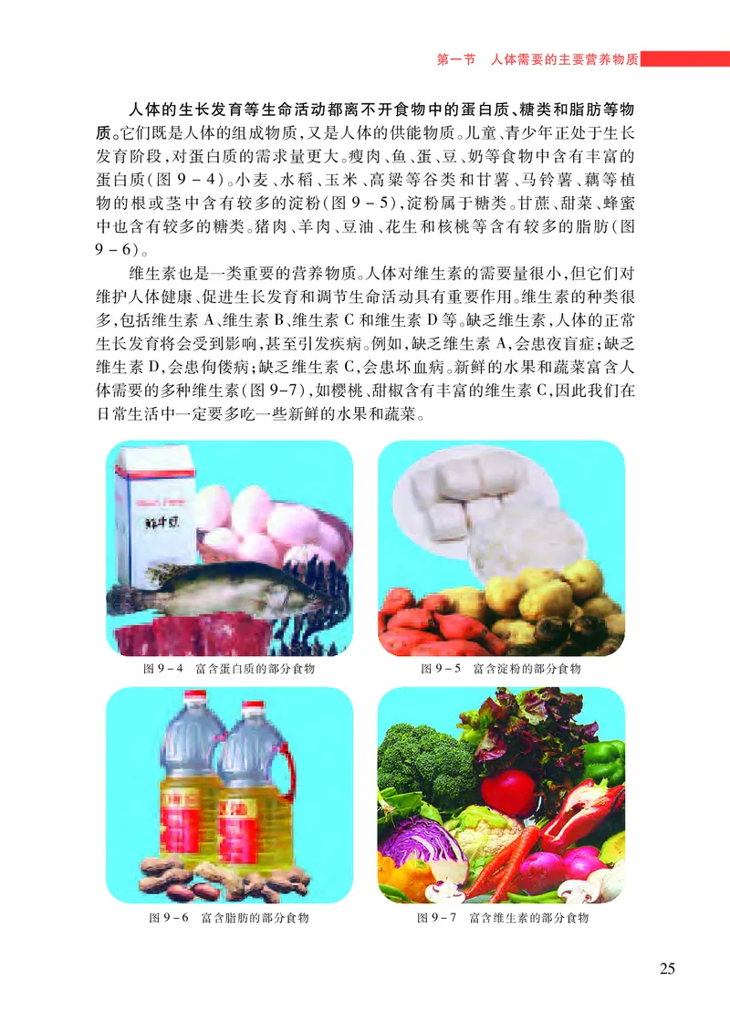 苏教版7年级生物下册高清教材_4-教培资料-26年最新资料-同步更新_初中高中教资_03科三专项（进去保存报考的学科即可）_02科三专项（笔记真题思维导图教学设计版本二）