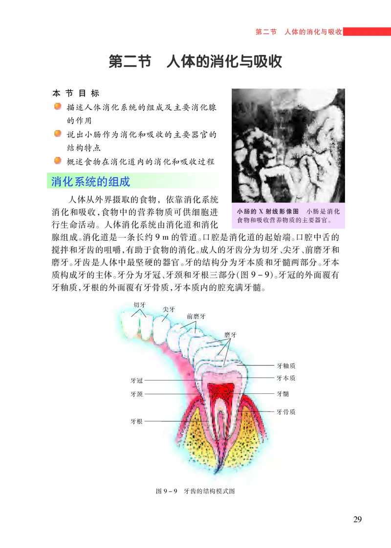 苏教版7年级生物下册高清教材_4-教培资料-26年最新资料-同步更新_初中高中教资_03科三专项（进去保存报考的学科即可）_02科三专项（笔记真题思维导图教学设计版本二）