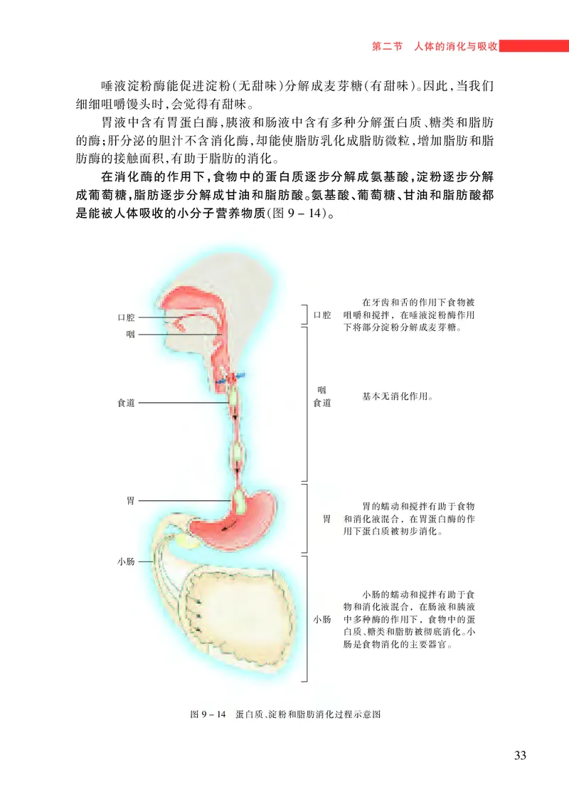 苏教版7年级生物下册高清教材_4-教培资料-26年最新资料-同步更新_初中高中教资_03科三专项（进去保存报考的学科即可）_02科三专项（笔记真题思维导图教学设计版本二）