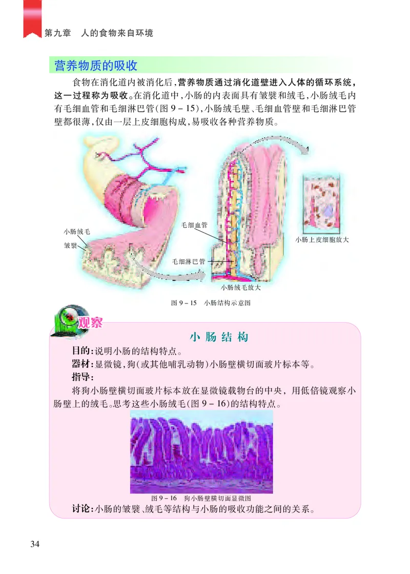 苏教版7年级生物下册高清教材_4-教培资料-26年最新资料-同步更新_初中高中教资_03科三专项（进去保存报考的学科即可）_02科三专项（笔记真题思维导图教学设计版本二）