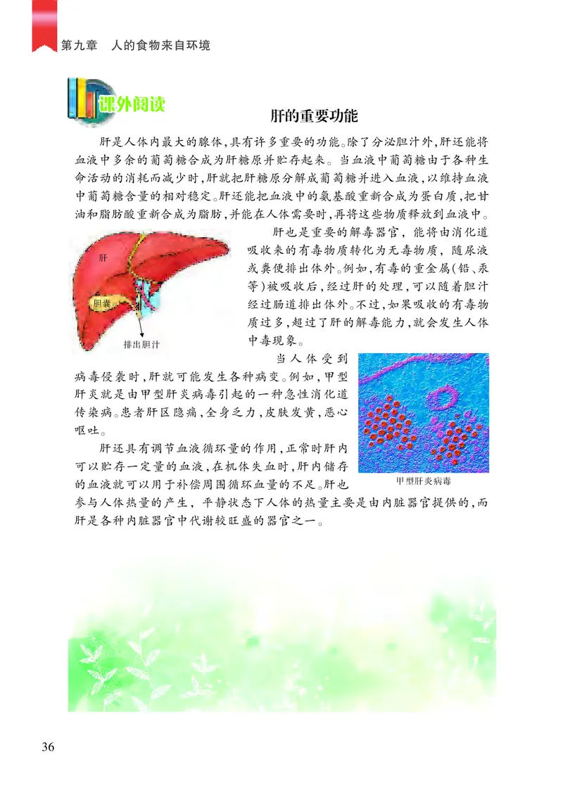 苏教版7年级生物下册高清教材_4-教培资料-26年最新资料-同步更新_初中高中教资_03科三专项（进去保存报考的学科即可）_02科三专项（笔记真题思维导图教学设计版本二）