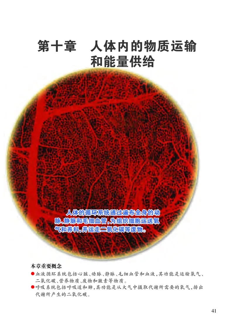 苏教版7年级生物下册高清教材_4-教培资料-26年最新资料-同步更新_初中高中教资_03科三专项（进去保存报考的学科即可）_02科三专项（笔记真题思维导图教学设计版本二）