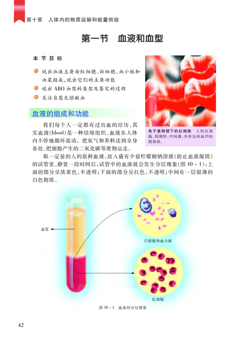 苏教版7年级生物下册高清教材_4-教培资料-26年最新资料-同步更新_初中高中教资_03科三专项（进去保存报考的学科即可）_02科三专项（笔记真题思维导图教学设计版本二）