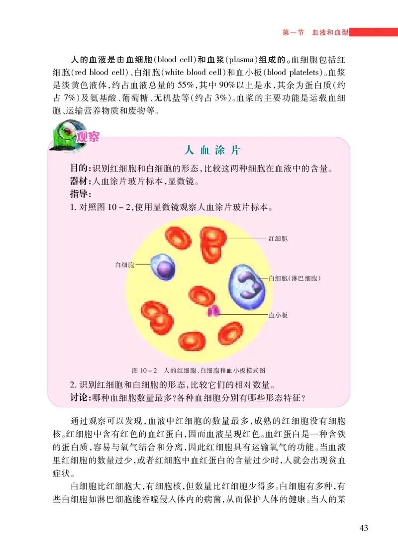 苏教版7年级生物下册高清教材_4-教培资料-26年最新资料-同步更新_初中高中教资_03科三专项（进去保存报考的学科即可）_02科三专项（笔记真题思维导图教学设计版本二）