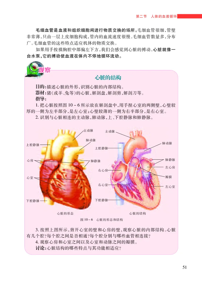 苏教版7年级生物下册高清教材_4-教培资料-26年最新资料-同步更新_初中高中教资_03科三专项（进去保存报考的学科即可）_02科三专项（笔记真题思维导图教学设计版本二）