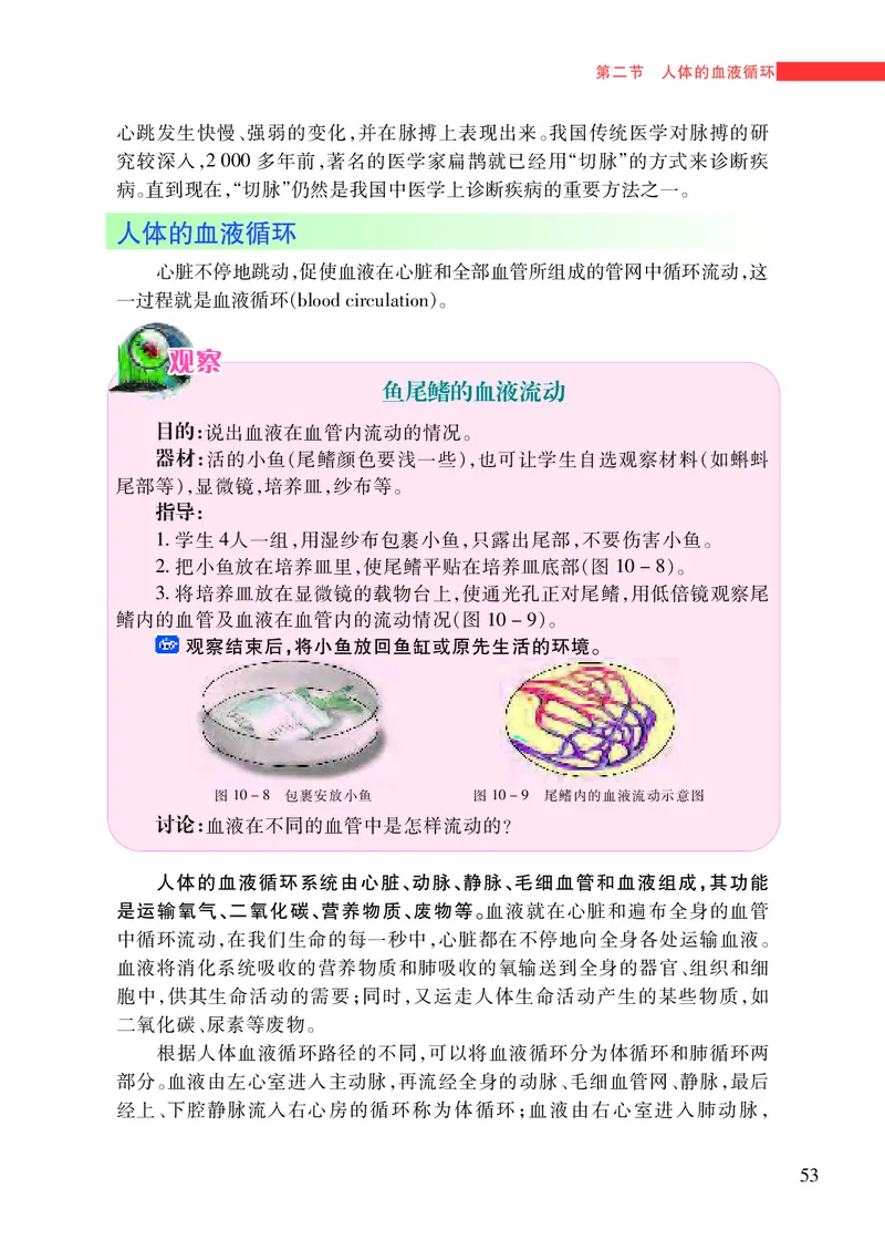 苏教版7年级生物下册高清教材_4-教培资料-26年最新资料-同步更新_初中高中教资_03科三专项（进去保存报考的学科即可）_02科三专项（笔记真题思维导图教学设计版本二）