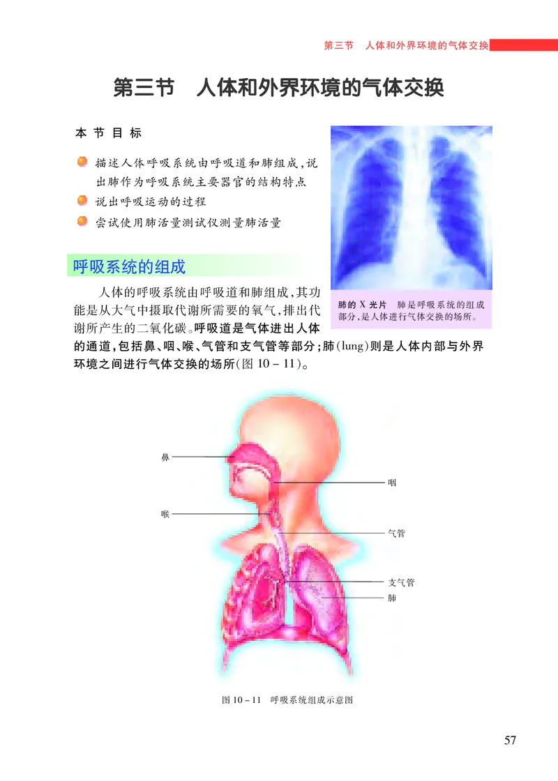 苏教版7年级生物下册高清教材_4-教培资料-26年最新资料-同步更新_初中高中教资_03科三专项（进去保存报考的学科即可）_02科三专项（笔记真题思维导图教学设计版本二）