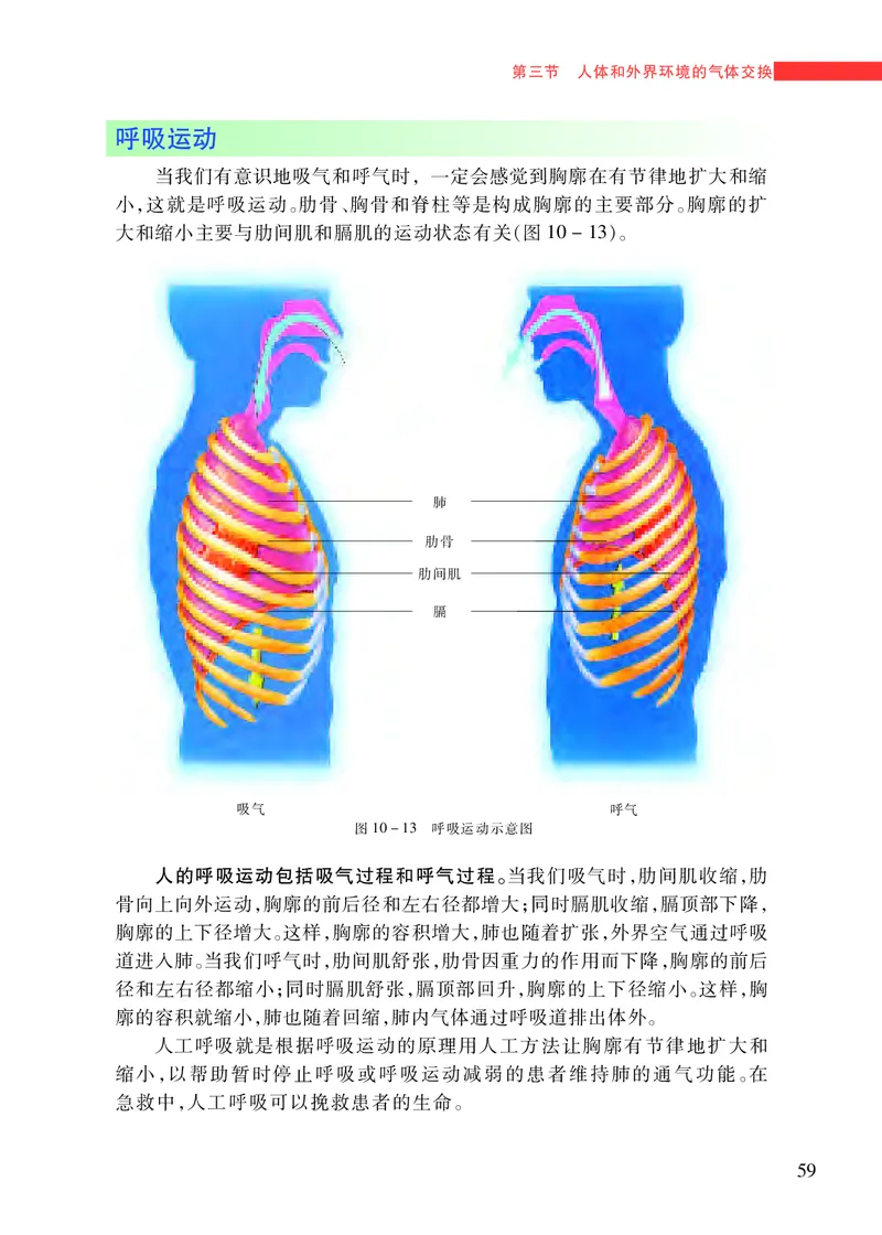 苏教版7年级生物下册高清教材_4-教培资料-26年最新资料-同步更新_初中高中教资_03科三专项（进去保存报考的学科即可）_02科三专项（笔记真题思维导图教学设计版本二）
