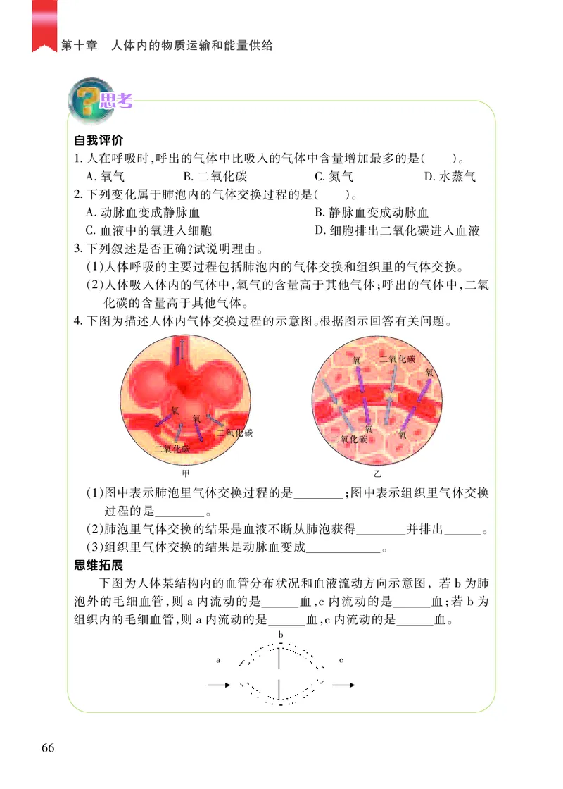 苏教版7年级生物下册高清教材_4-教培资料-26年最新资料-同步更新_初中高中教资_03科三专项（进去保存报考的学科即可）_02科三专项（笔记真题思维导图教学设计版本二）