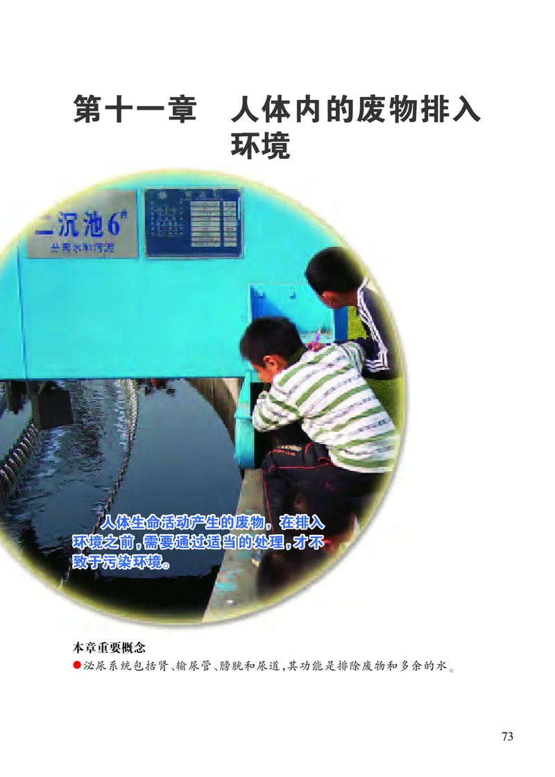 苏教版7年级生物下册高清教材_4-教培资料-26年最新资料-同步更新_初中高中教资_03科三专项（进去保存报考的学科即可）_02科三专项（笔记真题思维导图教学设计版本二）