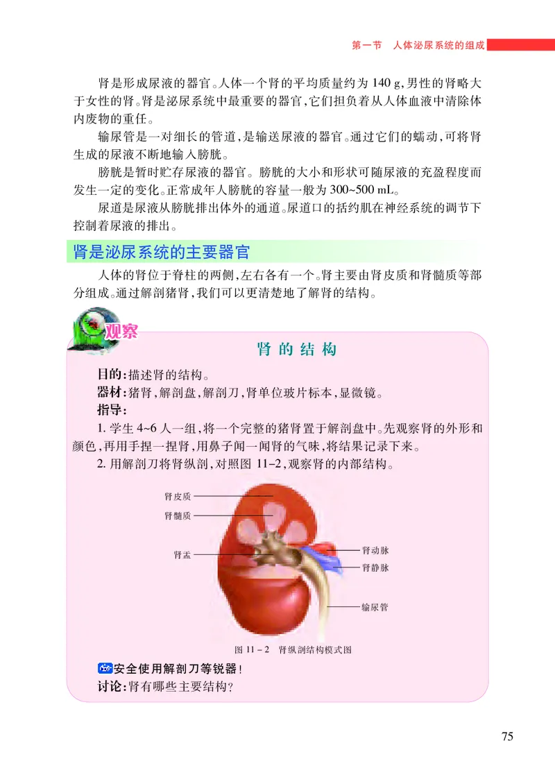 苏教版7年级生物下册高清教材_4-教培资料-26年最新资料-同步更新_初中高中教资_03科三专项（进去保存报考的学科即可）_02科三专项（笔记真题思维导图教学设计版本二）