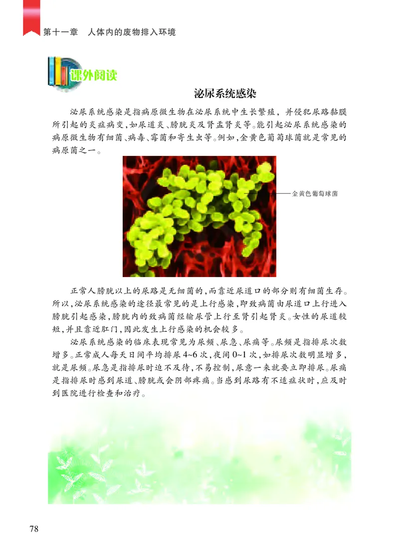 苏教版7年级生物下册高清教材_4-教培资料-26年最新资料-同步更新_初中高中教资_03科三专项（进去保存报考的学科即可）_02科三专项（笔记真题思维导图教学设计版本二）