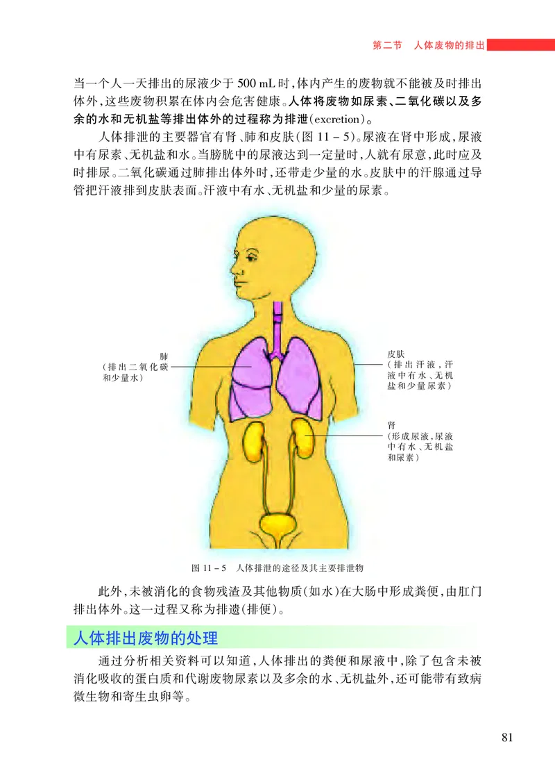 苏教版7年级生物下册高清教材_4-教培资料-26年最新资料-同步更新_初中高中教资_03科三专项（进去保存报考的学科即可）_02科三专项（笔记真题思维导图教学设计版本二）