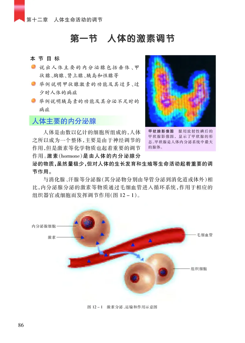 苏教版7年级生物下册高清教材_4-教培资料-26年最新资料-同步更新_初中高中教资_03科三专项（进去保存报考的学科即可）_02科三专项（笔记真题思维导图教学设计版本二）