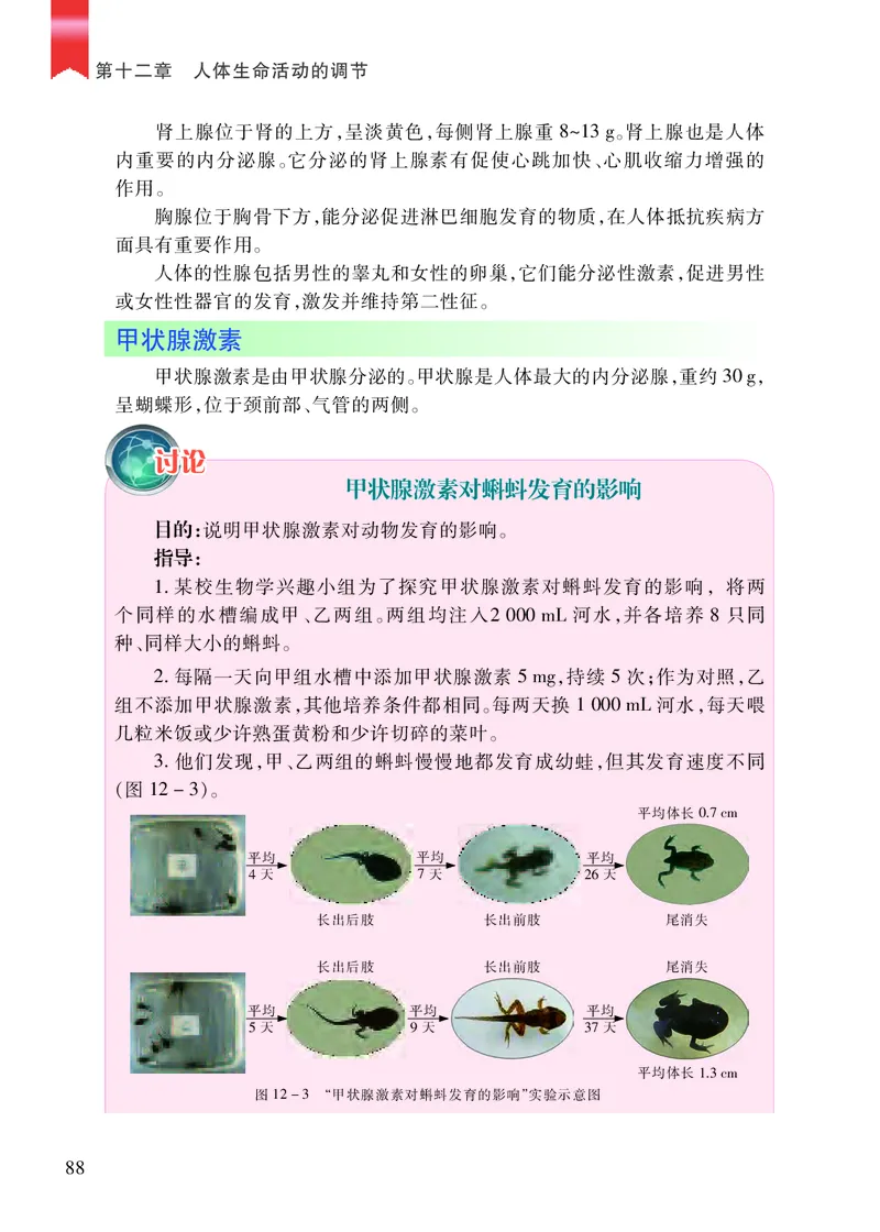 苏教版7年级生物下册高清教材_4-教培资料-26年最新资料-同步更新_初中高中教资_03科三专项（进去保存报考的学科即可）_02科三专项（笔记真题思维导图教学设计版本二）