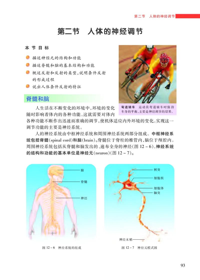 苏教版7年级生物下册高清教材_4-教培资料-26年最新资料-同步更新_初中高中教资_03科三专项（进去保存报考的学科即可）_02科三专项（笔记真题思维导图教学设计版本二）