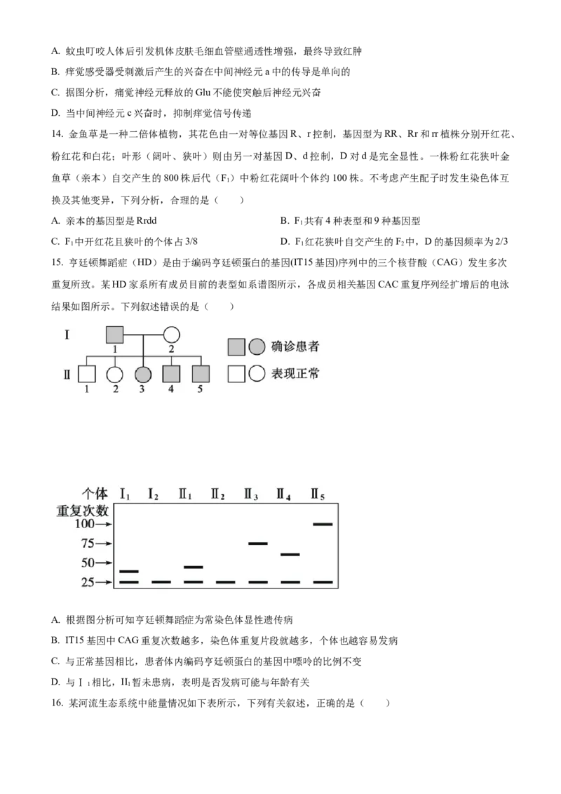 广东省中山市第一中学2024届高三上学期第五次统测生物_2024届广东省中山市第一中学高三上学期第五次统测