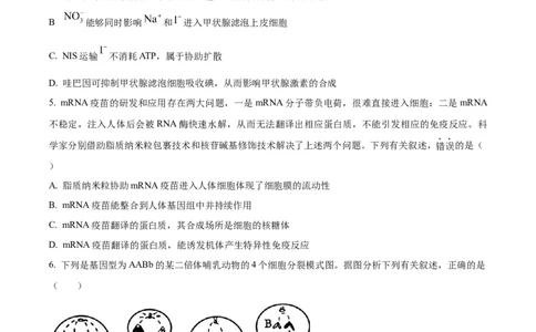 广东省中山市第一中学2024届高三上学期第五次统测生物_2024届广东省中山市第一中学高三上学期第五次统测