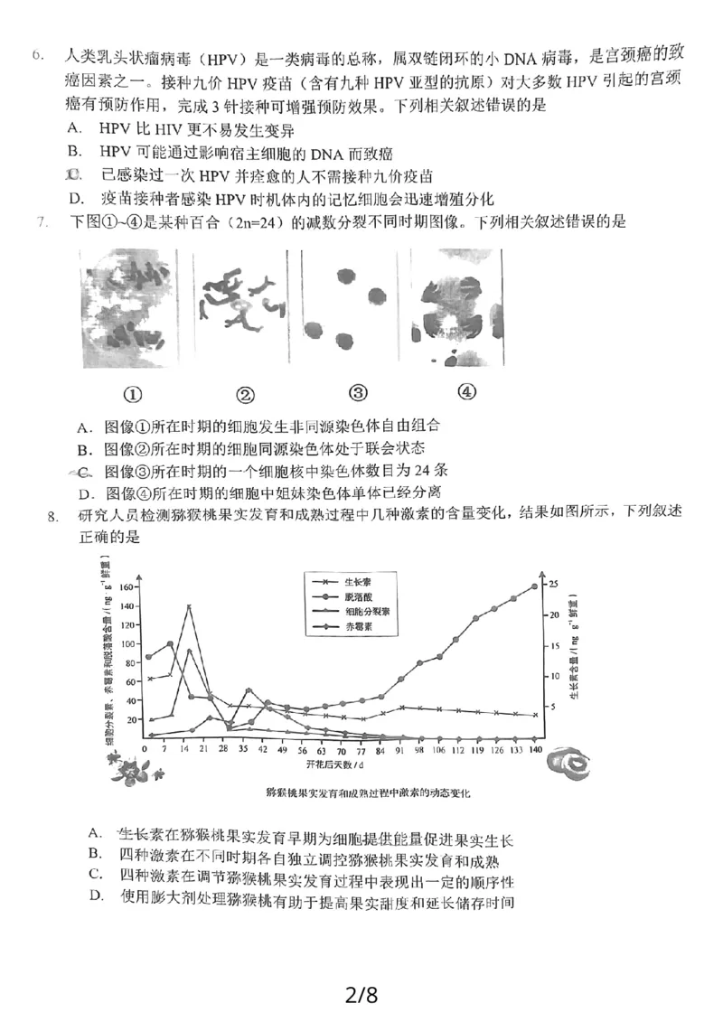 24届泉州高中毕业班第二次市质检生物试卷_2024届福建省泉州市高中高三上学期毕业班质量监测（二）_2024届福建省泉州市高中高三上学期毕业班质量监测（二）生物