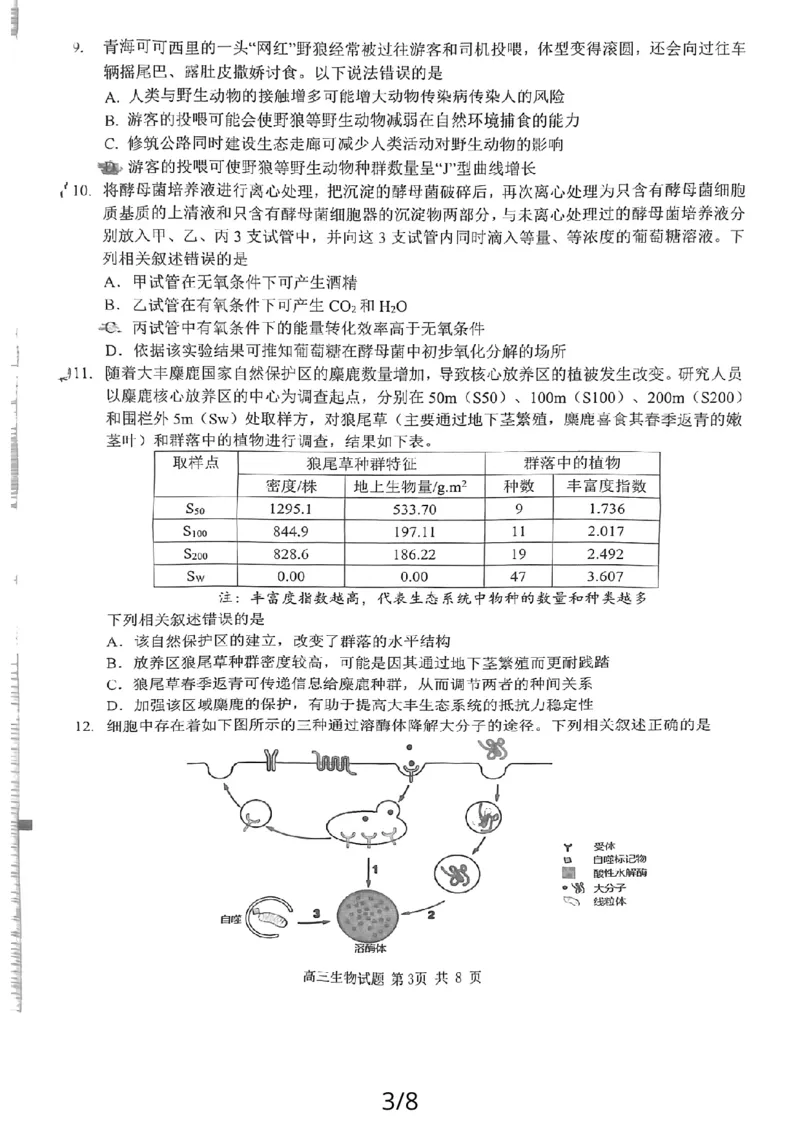24届泉州高中毕业班第二次市质检生物试卷_2024届福建省泉州市高中高三上学期毕业班质量监测（二）_2024届福建省泉州市高中高三上学期毕业班质量监测（二）生物