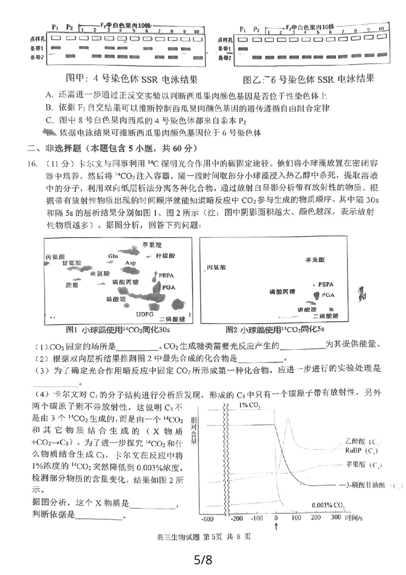24届泉州高中毕业班第二次市质检生物试卷_2024届福建省泉州市高中高三上学期毕业班质量监测（二）_2024届福建省泉州市高中高三上学期毕业班质量监测（二）生物