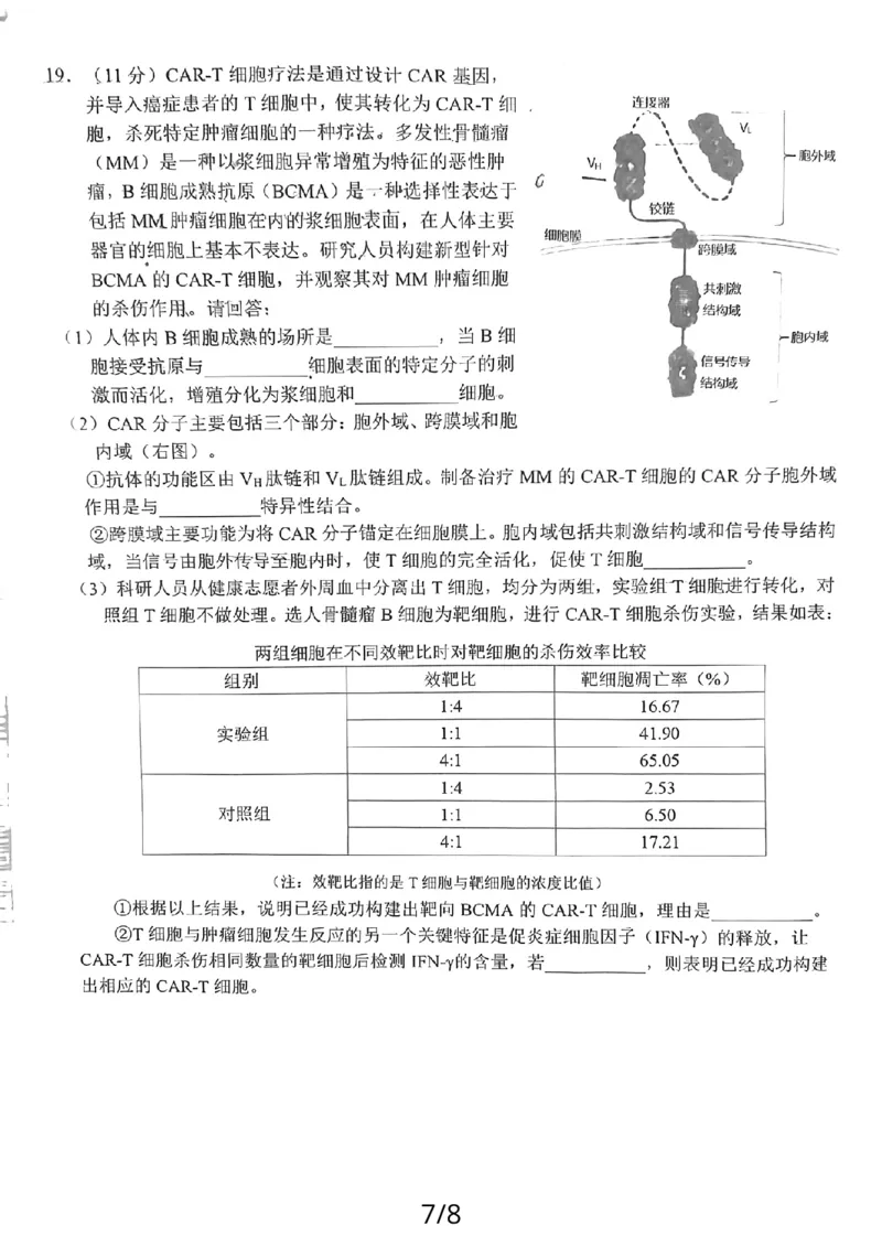 24届泉州高中毕业班第二次市质检生物试卷_2024届福建省泉州市高中高三上学期毕业班质量监测（二）_2024届福建省泉州市高中高三上学期毕业班质量监测（二）生物