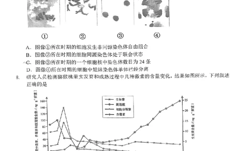 24届泉州高中毕业班第二次市质检生物试卷_2024届福建省泉州市高中高三上学期毕业班质量监测（二）_2024届福建省泉州市高中高三上学期毕业班质量监测（二）生物