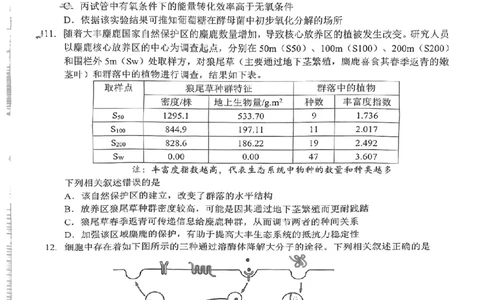 24届泉州高中毕业班第二次市质检生物试卷_2024届福建省泉州市高中高三上学期毕业班质量监测（二）_2024届福建省泉州市高中高三上学期毕业班质量监测（二）生物